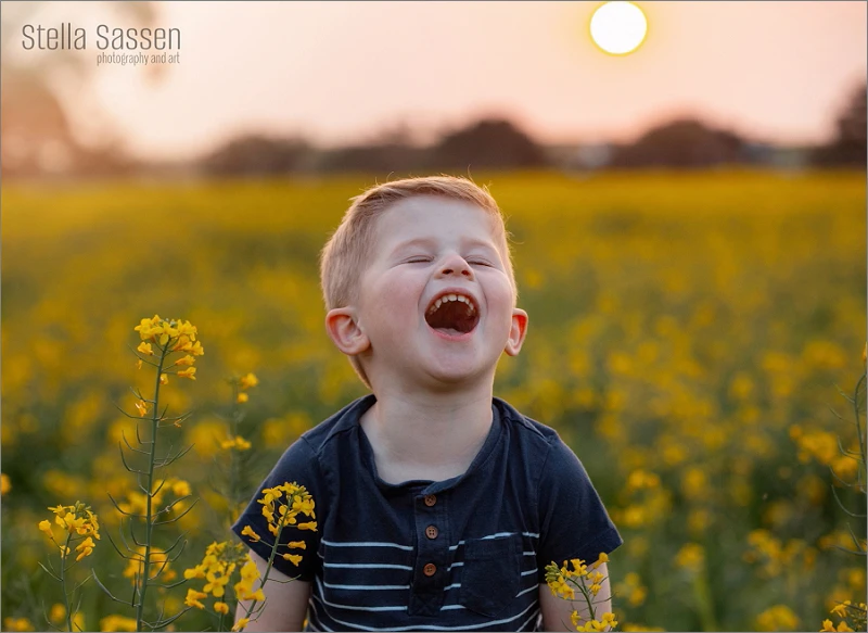 20240902 canola fields cape town 09 copy